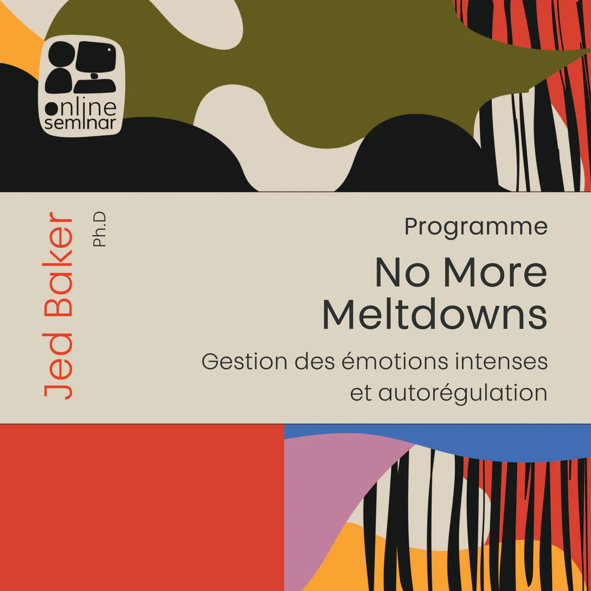 FORMATION EN LIGNE | Programme « No More Meltdowns » : Gestion des émotions intenses et autorégulation