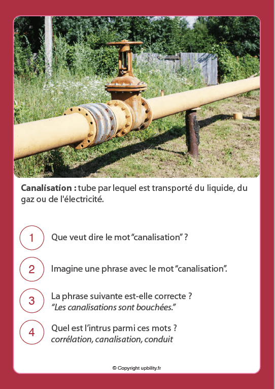 FICHES ILLUSTRÉES | Développement du vocabulaire (12-13 ans) - Upbility.fr