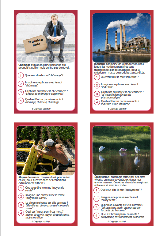 FICHES ILLUSTRÉES | Développement du vocabulaire (12-13 ans) - Upbility.fr