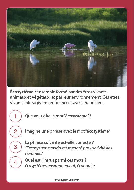 FICHES ILLUSTRÉES | Développement du vocabulaire (12-13 ans) - Upbility.fr