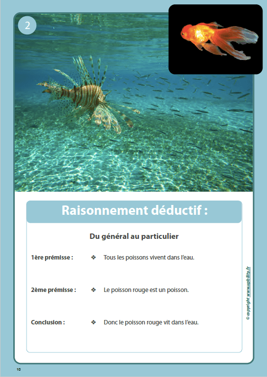 FICHES ILLUSTRÉES | Raisonnement logique - Upbility.fr