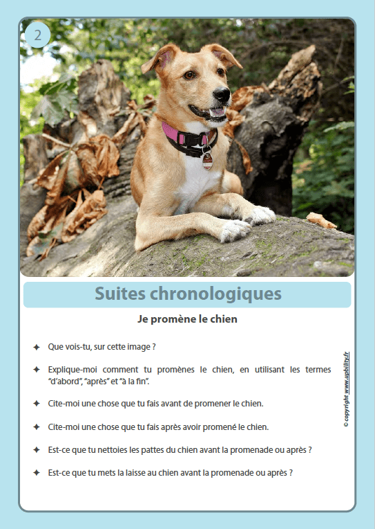 FICHES ILLUSTRÉES | Suites chronologiques - Upbility.fr