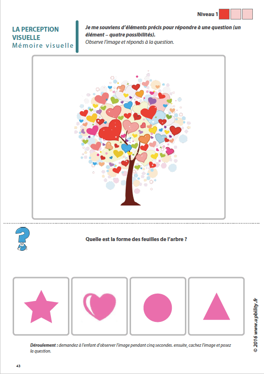 Les capacités de perception visuelle pour les enfants dyslexiques | Partie 4 : La mémoire visuelle - Upbility.fr