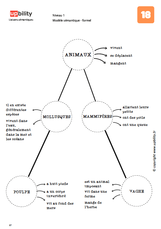 Liaisons sémantiques - Upbility.fr