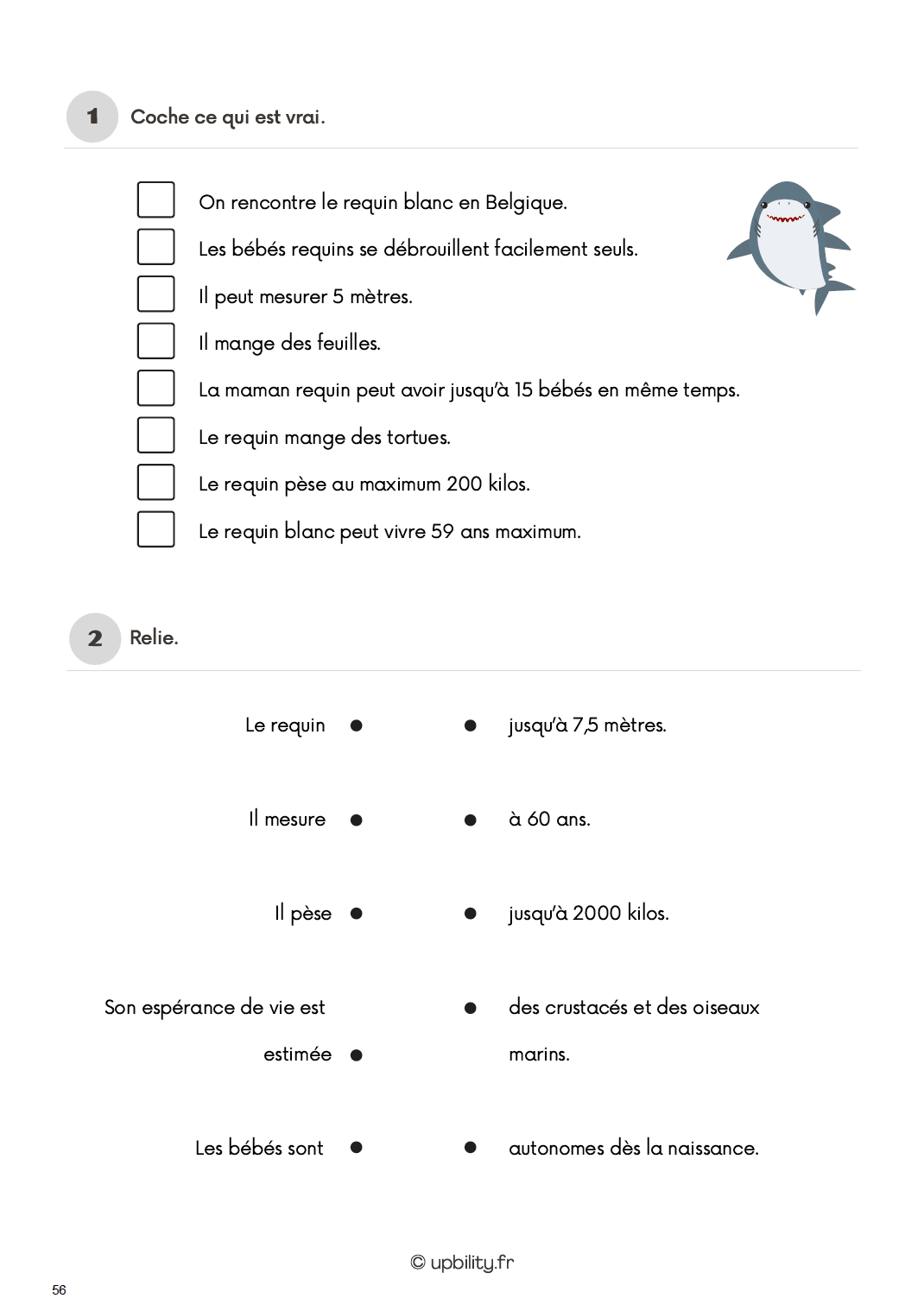 Loïs et Noé découvrent l'univers des animaux - Upbility.fr