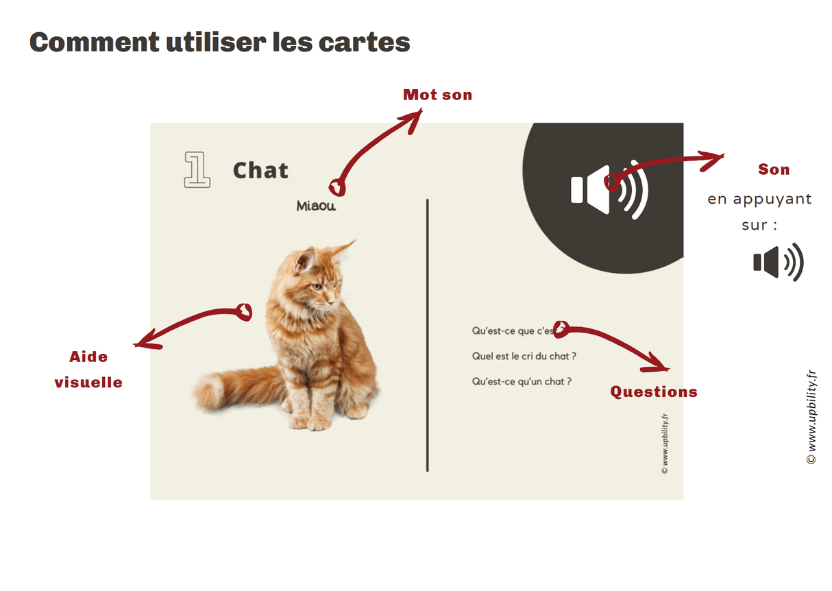 POCKET CARDS | Faire correspondre des images à des sons - Upbility.fr