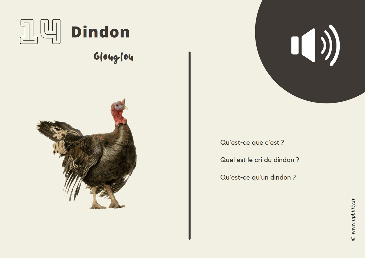 POCKET CARDS | Faire correspondre des images à des sons - Upbility.fr