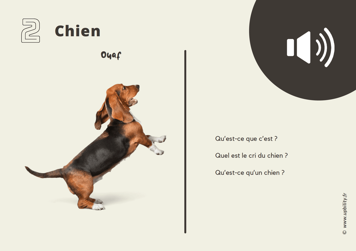 POCKET CARDS | Faire correspondre des images à des sons - Upbility.fr