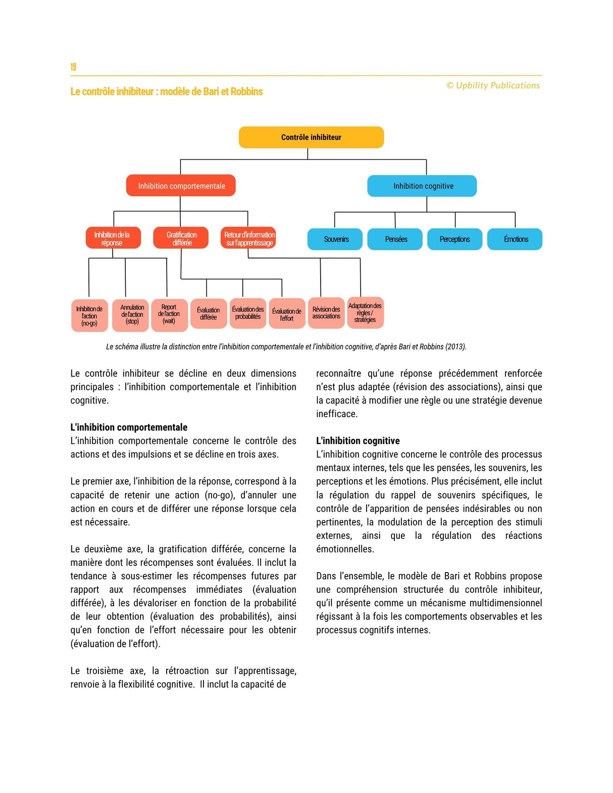 Les fonctions exécutives - Stratégies d’intervention pour les adolescents de 12 à 18 ans
