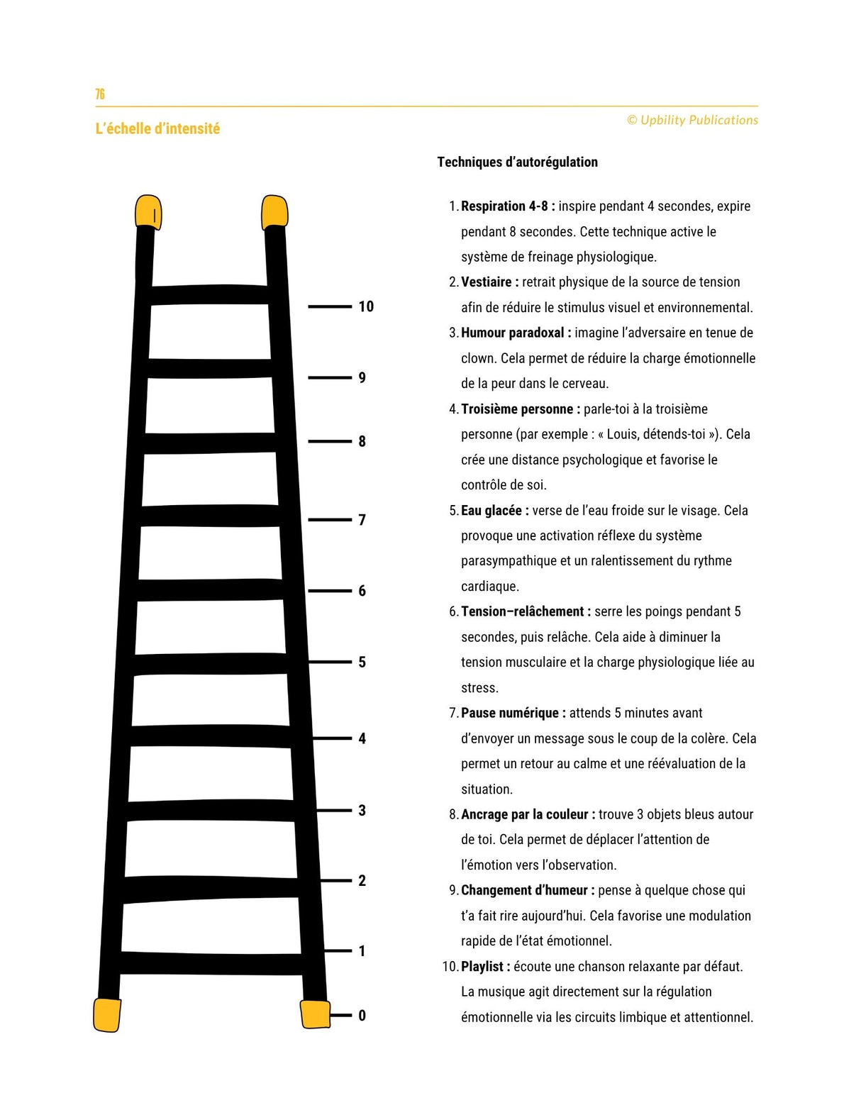 Les fonctions exécutives - Stratégies d’intervention pour les adolescents de 12 à 18 ans