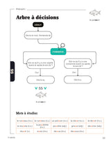 La route de l’orthographe | Volume 3
