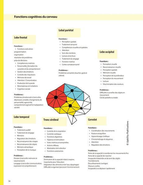 TDAH | ATTENTION ET CONCENTRATION | Stratégies d’intervention