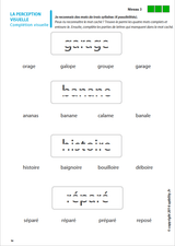 Les capacités de perception visuelle pour les enfants dyslexiques | ENSEMBLE DE 7 LIVRES NUMÉRIQUES