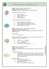 ÉCOUTER – REGARDER – COMPRENDRE – DIRE | Développement du langage réceptif et expressif - Upbility.fr