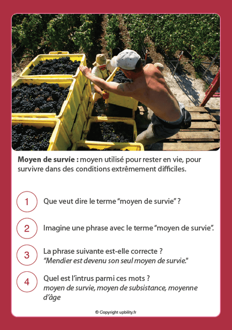 FICHES ILLUSTRÉES | Développement du vocabulaire (12-13 ans) - Upbility.fr