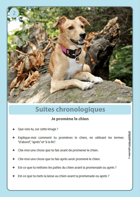 FICHES ILLUSTRÉES | Suites chronologiques - Upbility.fr