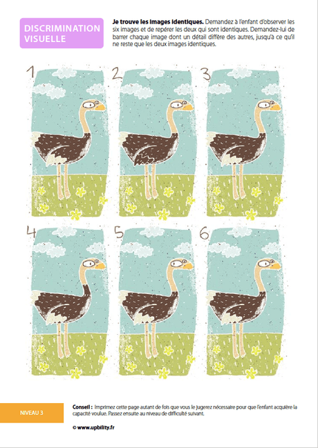 Le développement de la discrimination visuelle - Upbility.fr