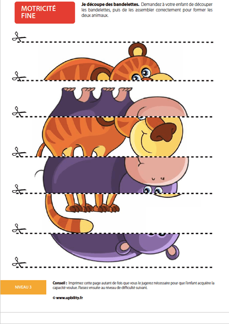 Le développement de la motricité fine - Upbility.fr