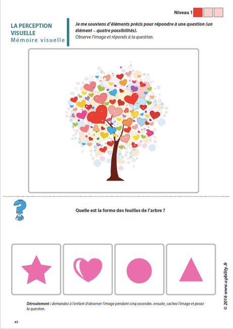 Les capacités de perception visuelle pour les enfants dyslexiques | Partie 4 : La mémoire visuelle - Upbility.fr