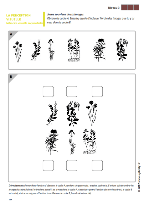 Les capacités de perception visuelle pour les enfants dyslexiques | Partie 5 : La mémoire visuelle séquentielle - Upbility.fr