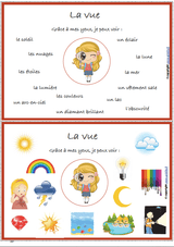 LES CINQ SENS | Notions et vocabulaire - Upbility.fr