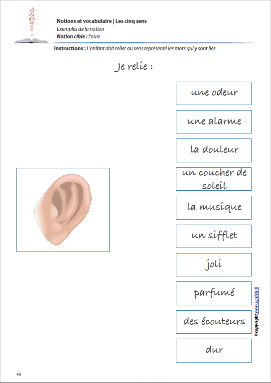LES CINQ SENS | Notions et vocabulaire - Upbility.fr
