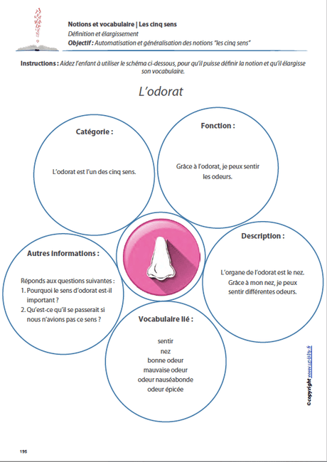 LES CINQ SENS | Notions et vocabulaire - Upbility.fr