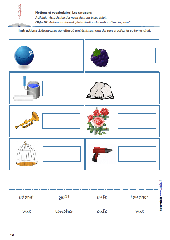 LES CINQ SENS | Notions et vocabulaire - Upbility.fr