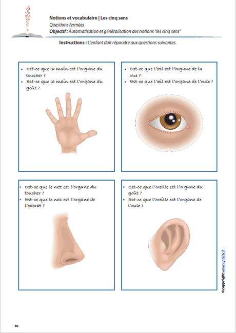LES CINQ SENS | Notions et vocabulaire - Upbility.fr