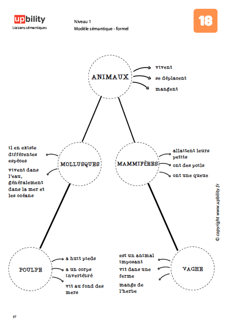 Liaisons sémantiques - Upbility.fr