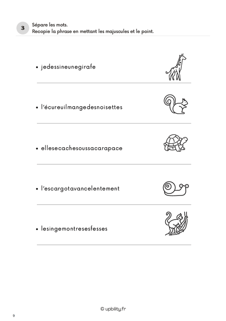 Loïs et Noé découvrent l'univers des animaux - Upbility.fr