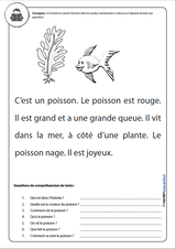 PARTIE 2 | Développement de la compréhension en lecture pour les enfants ayant un trouble du spectre autistique - Upbility.fr