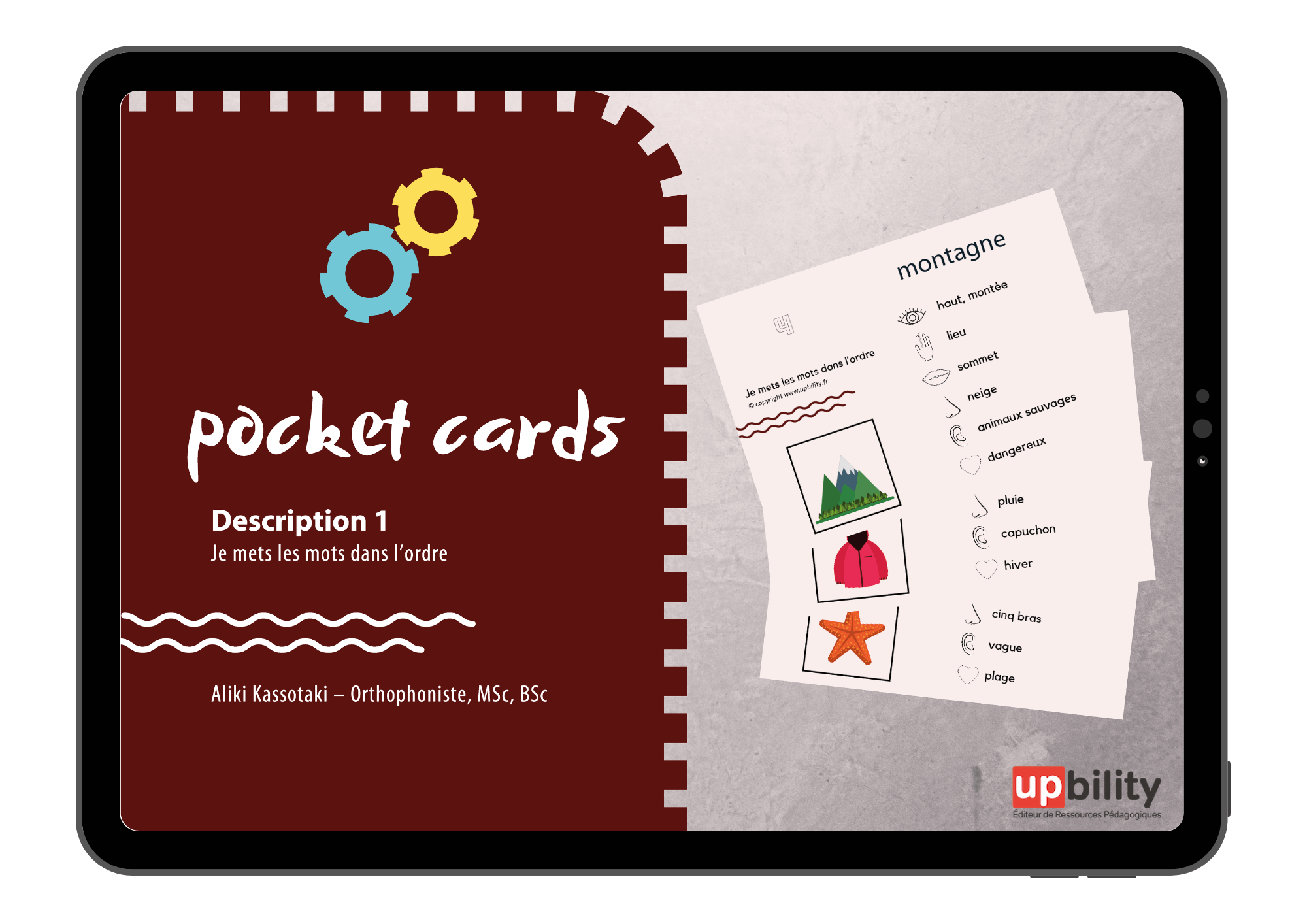 POCKET CARDS Description (partie 1) — Upbility.fr